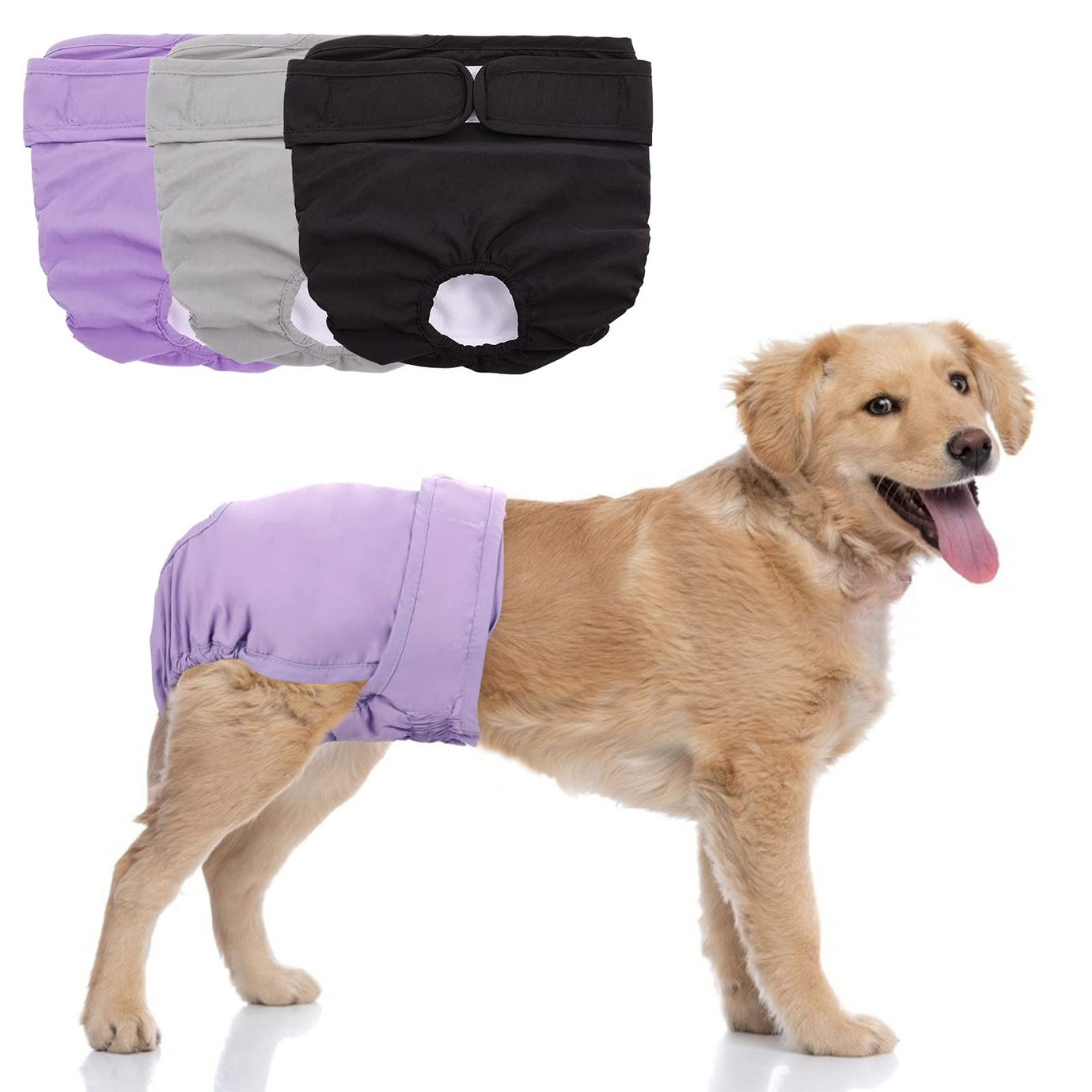 Dogs Mattresses And Mattress Holder