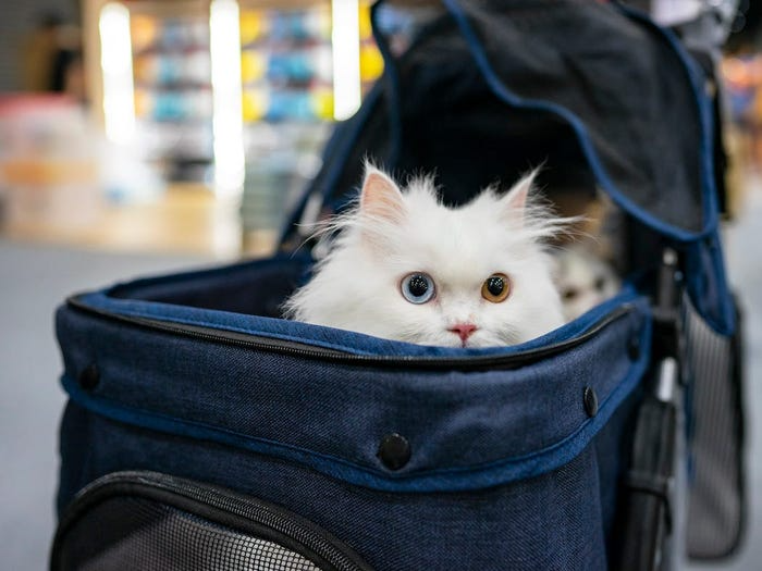 Carriers Bag For Cats