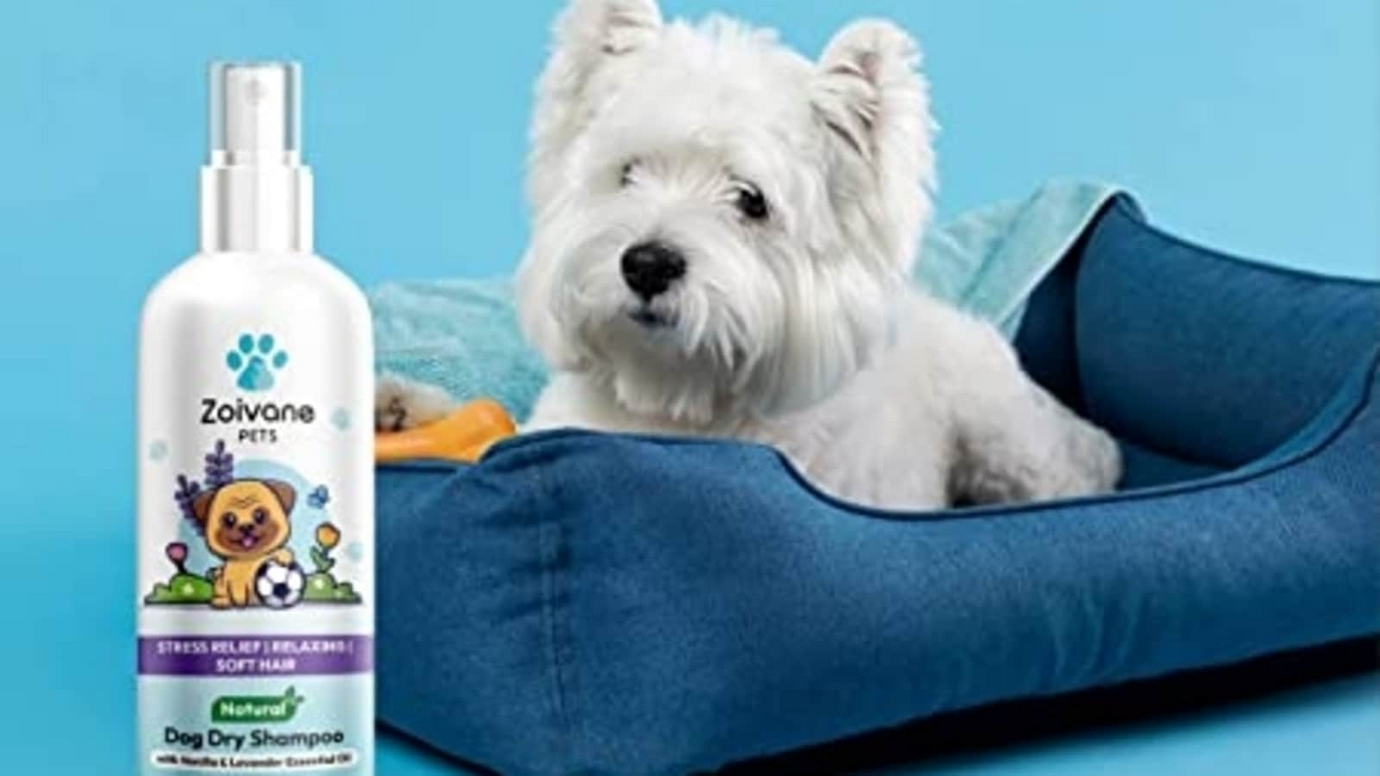 Dogs Shampoo And Perfumes