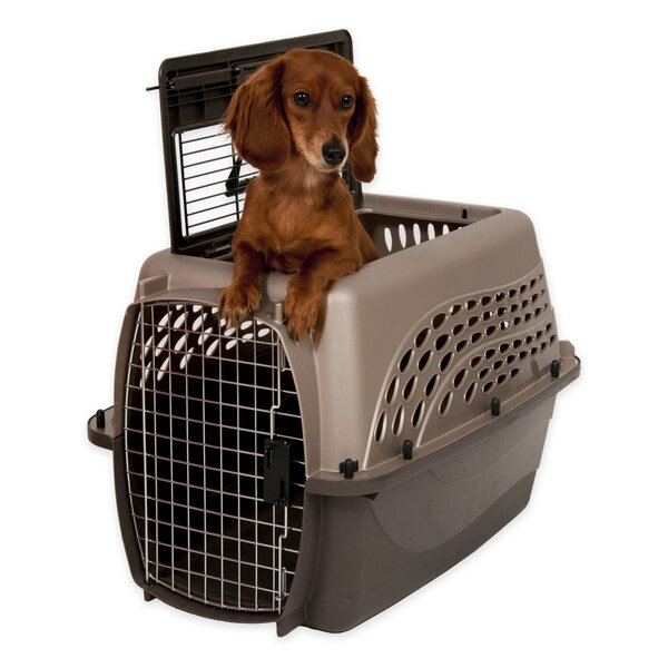 Dogs Carriers Box