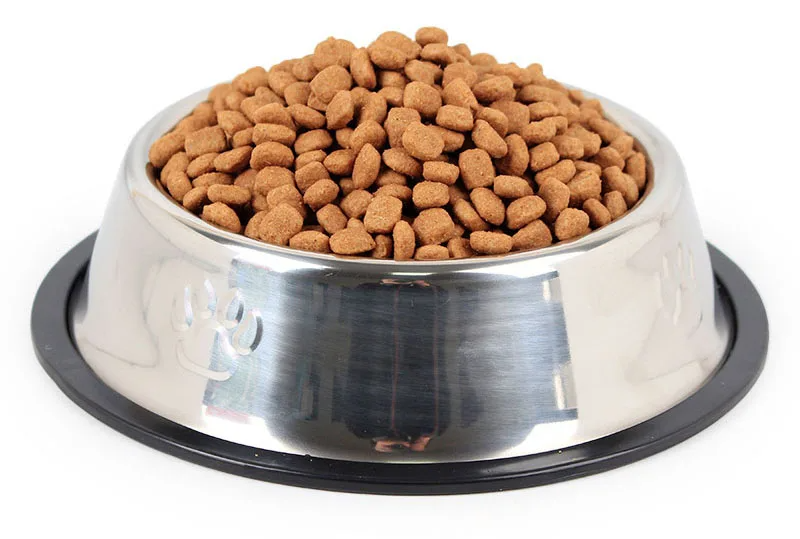 Dogs Food Supplies Plates