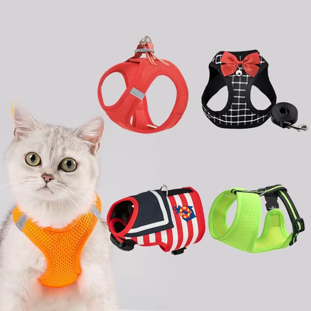 Cats Bras