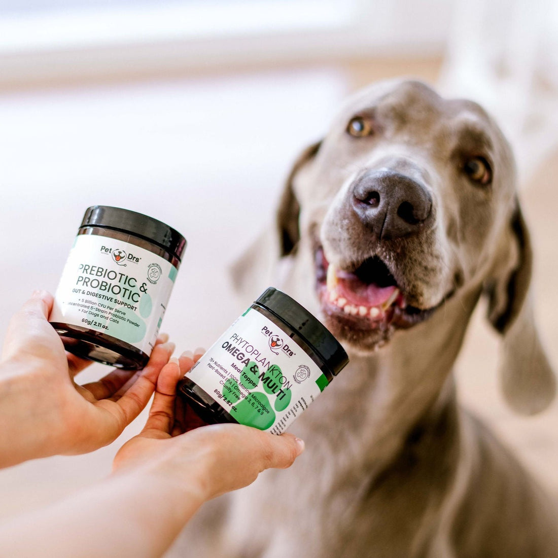 Dogs Rewards And Supplements