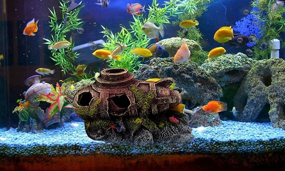 Aquarium Accessories