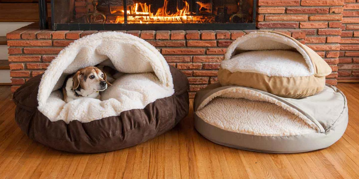 Dog Closed Beds