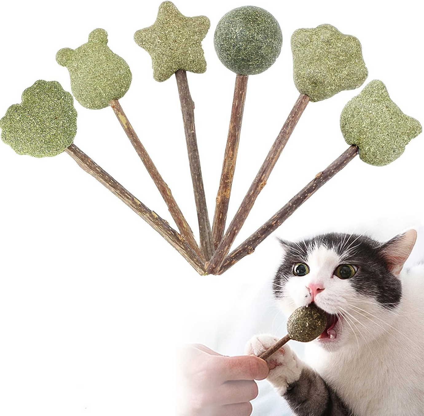 Cats Catnip