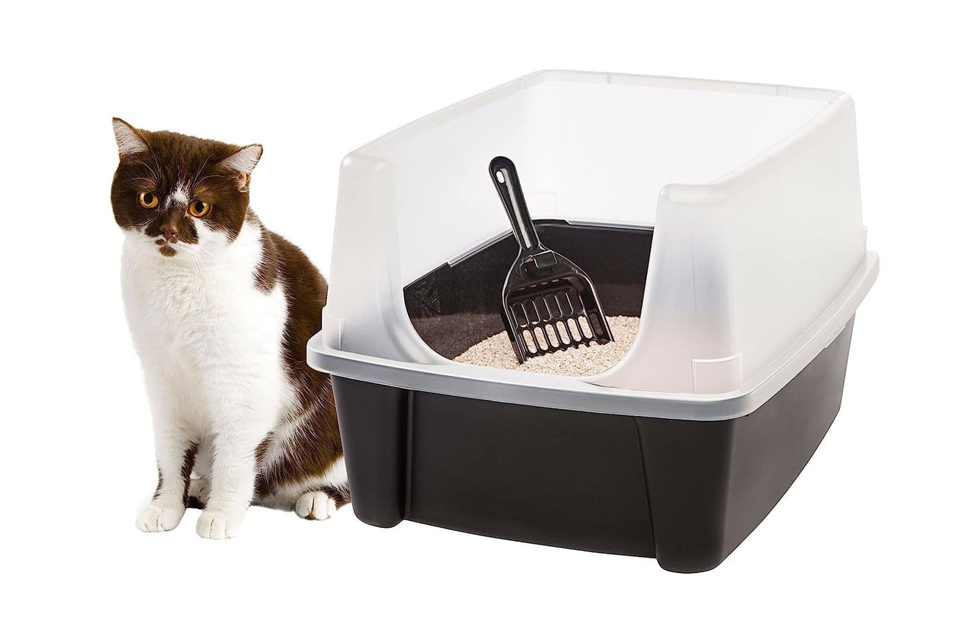 Cats Opened Litter Box