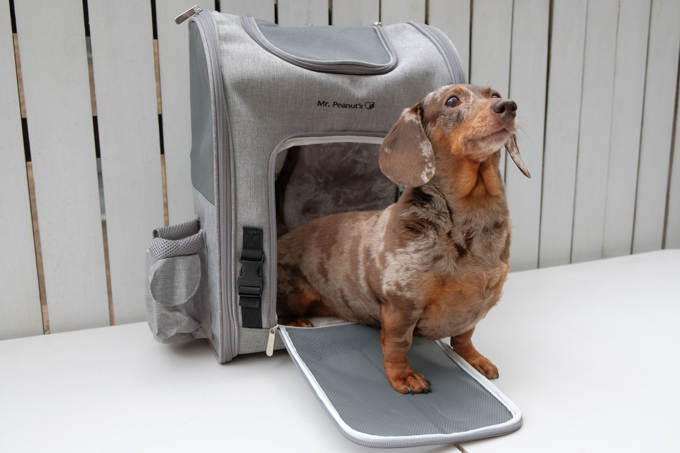 Dogs Carriers Bags