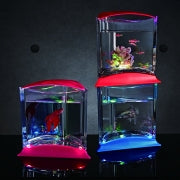 ISTA Stylish Display Case-LED LIGHT