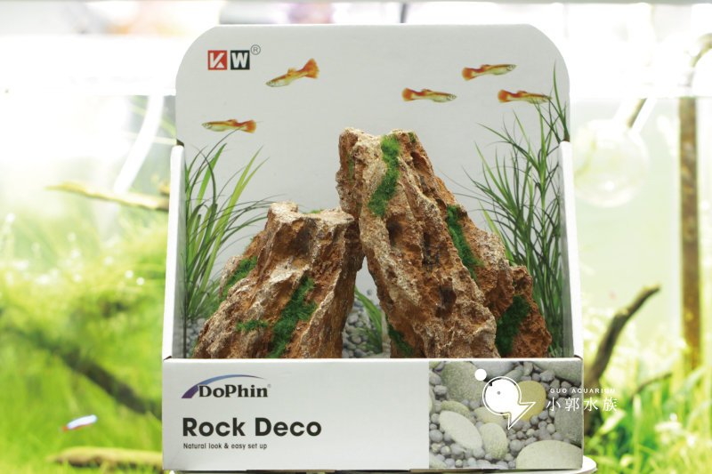 Dophin Rock Deco U 805