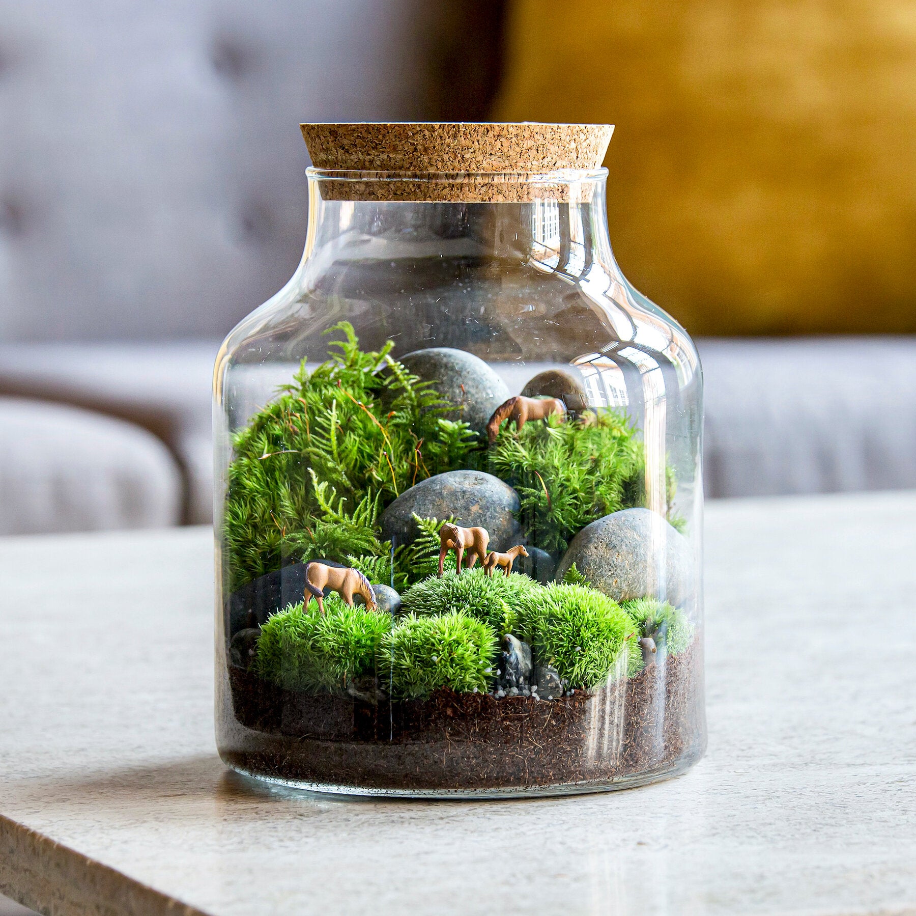 Mood Moss- for terrarium