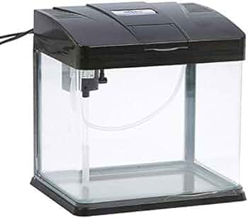 Sea star LS 380F Aquarium