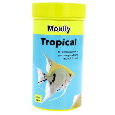 TAIYO Moully Tropical  flakes 100ml