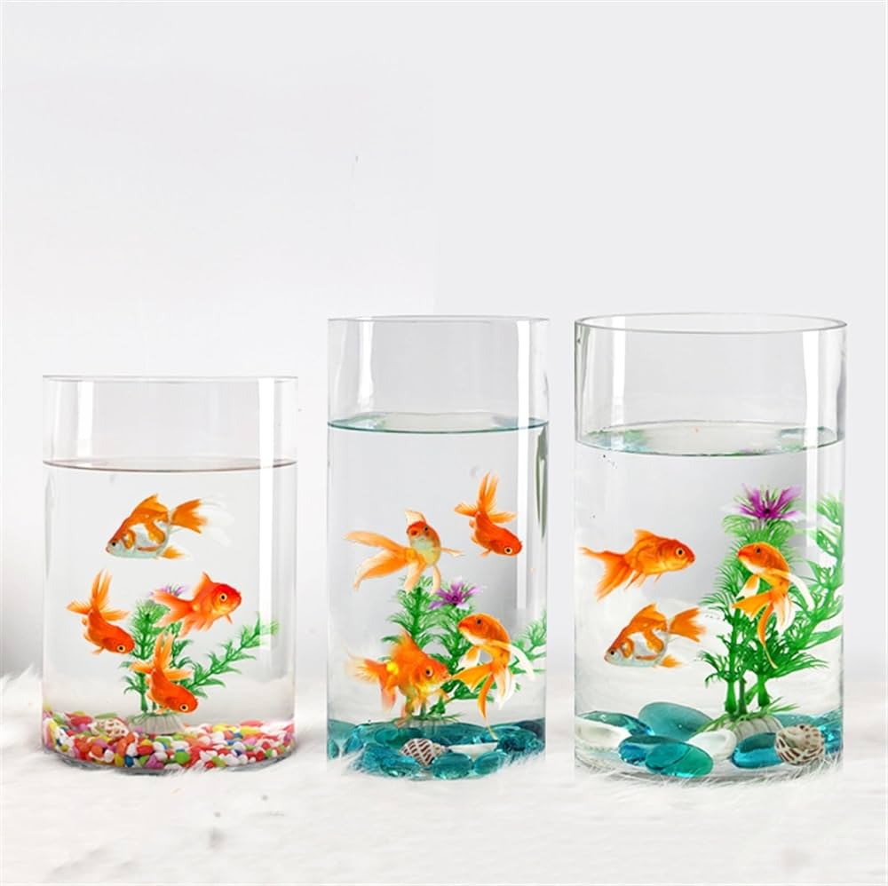 Cylindrical Mini Fish Tank Aquarium