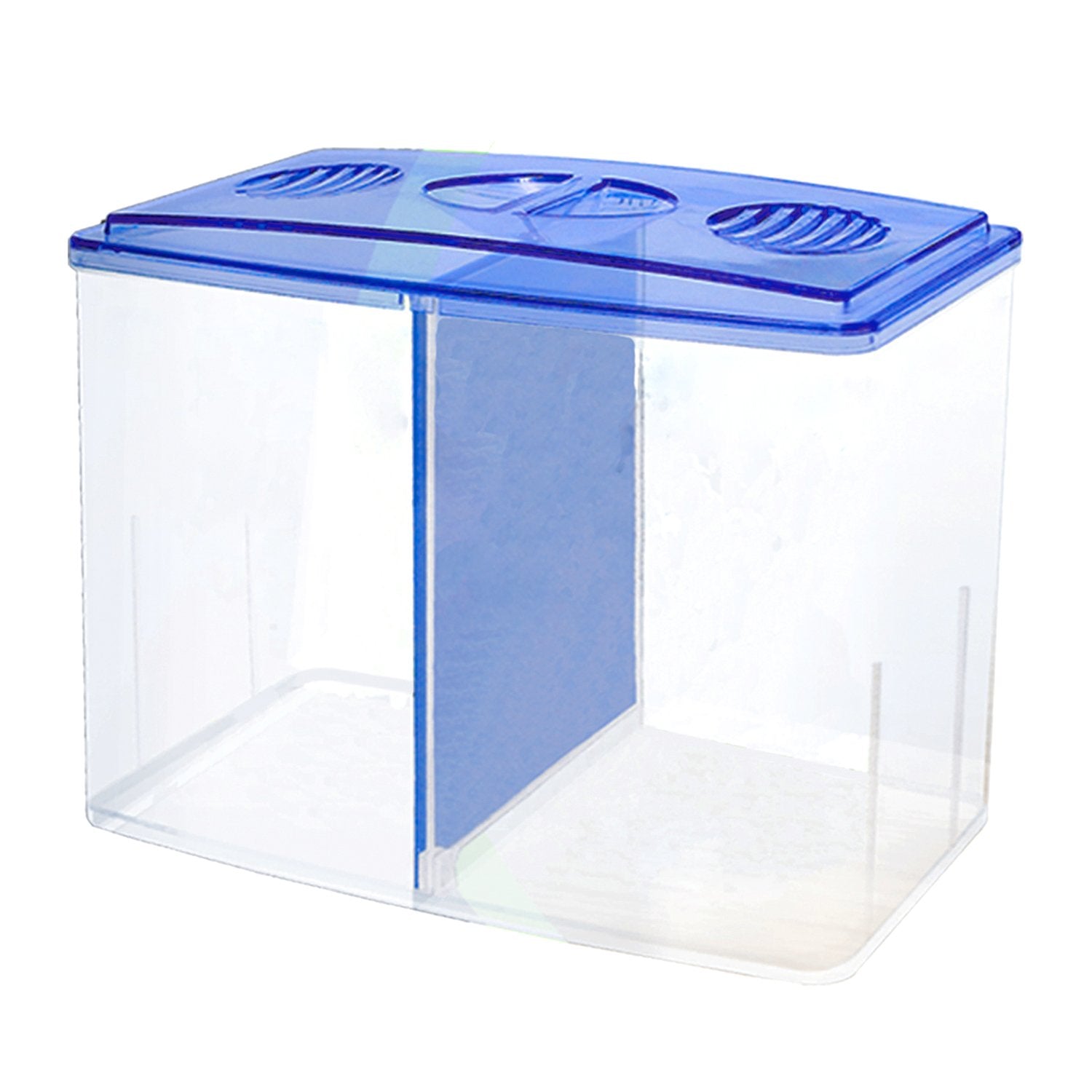 HAQOS 3 in 1 betta box and breeder box