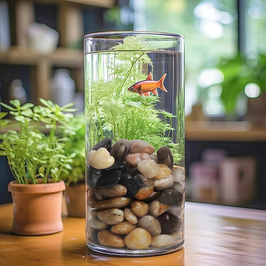 Cylindrical Mini Fish Tank Aquarium