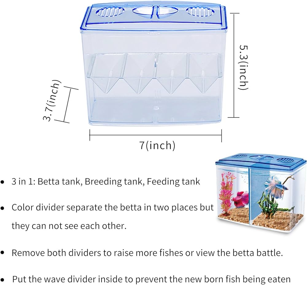 HAQOS 3 in 1 betta box and breeder box