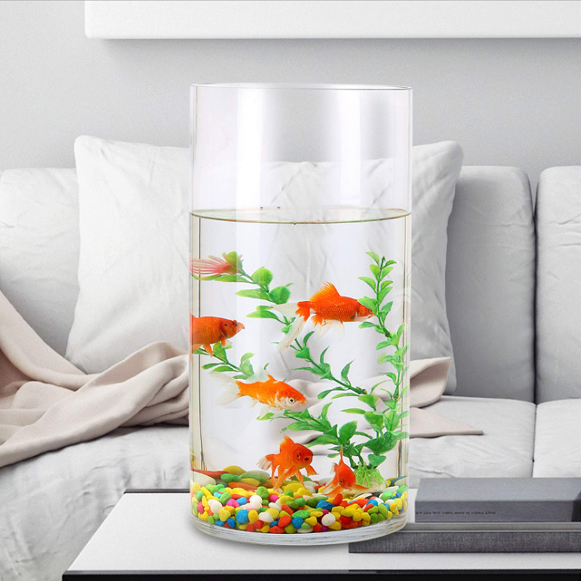 Cylindrical Mini Fish Tank Aquarium