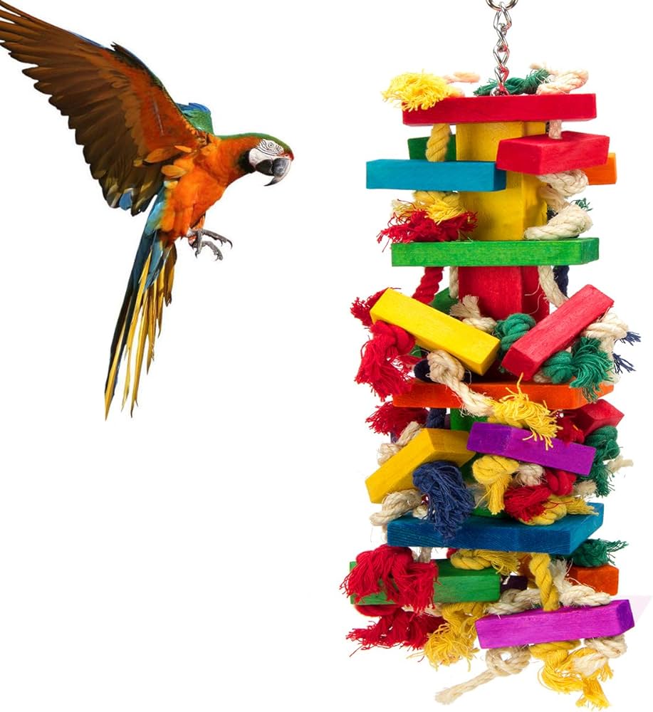 Colored Toy for parrot