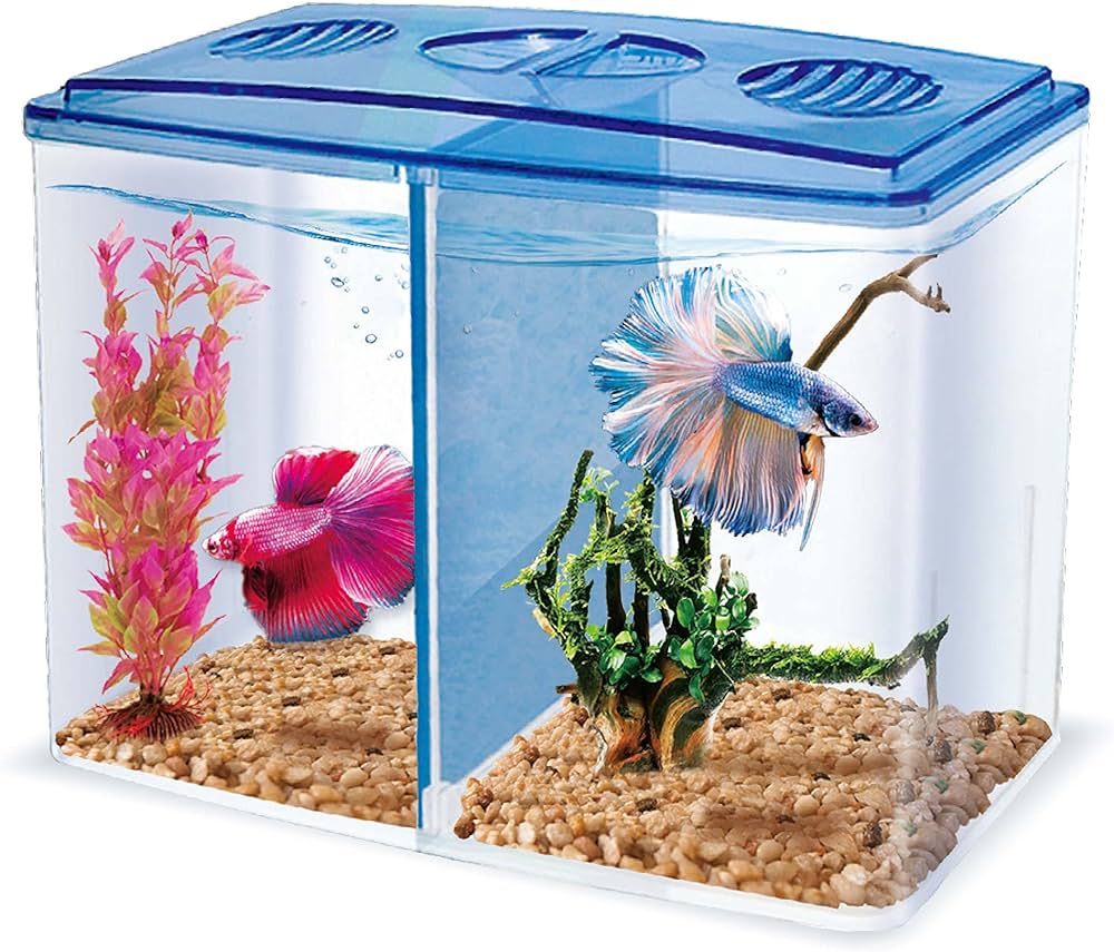 HAQOS 3 in 1 betta box and breeder box