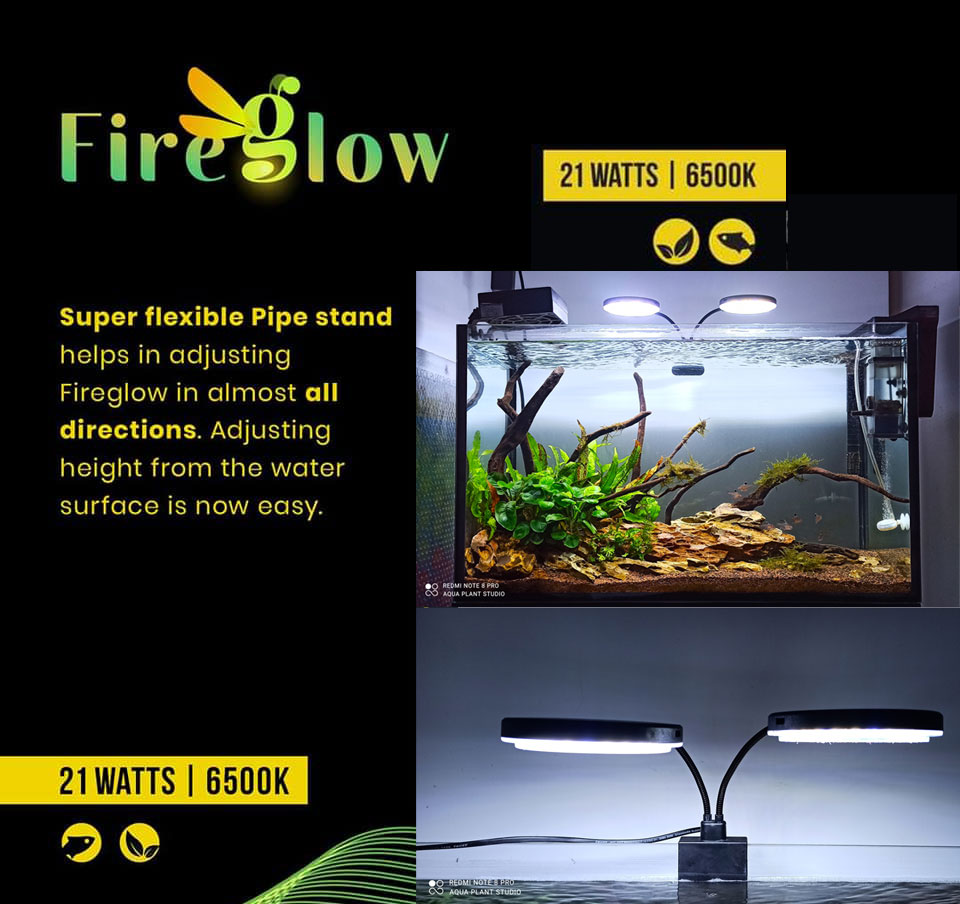 FireGlow Clip LED 21W | 6500K