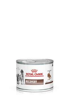 Royal Recoevery wet food for cats and dogas 190gms