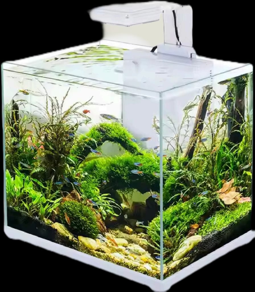 SOBO CL-300F mini aqua scaping tank set high clear fish tank, (FILTER & LIGHT)