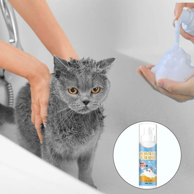 Cat Dry Shower Service