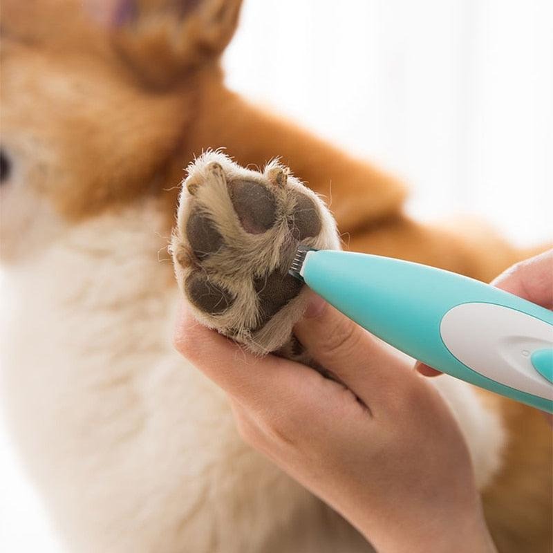 Cat Paws Shaving