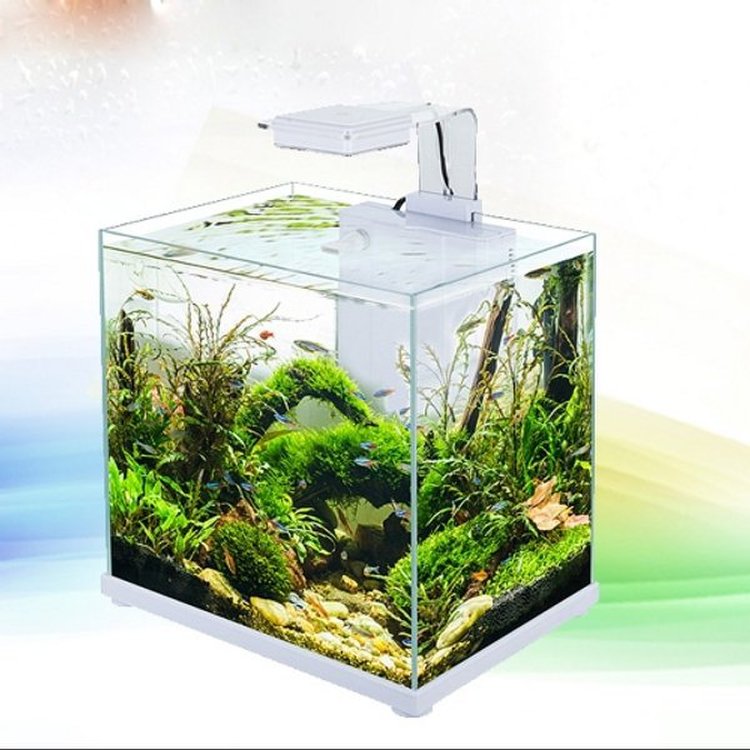 SOBO CL-300F mini aqua scaping tank set high clear fish tank, (FILTER & LIGHT)