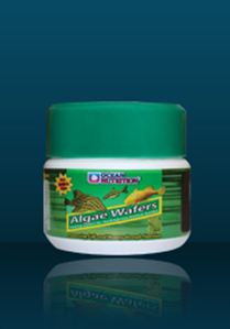 Ocean nutrition algae wafer