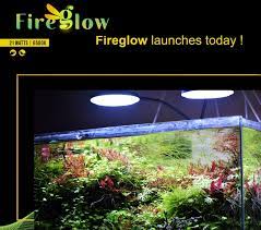 مشبك FireGlow الوحيد LED 10 وات/6500 ك |