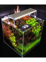 ISTA Professional aquascape set 45cm(Included ultra clear tank)