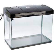 Sea star LS 580F Aquarium