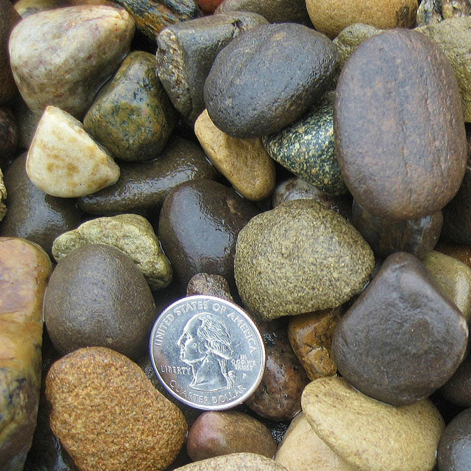 Natural Decorative Pebbles-per kg