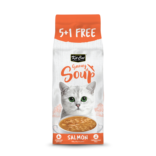 Kit Cat Savoury Soup Salmon 5+1 free