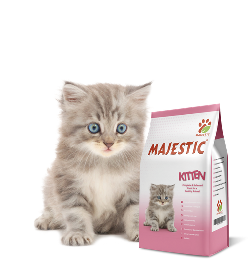 Majestic kitten food